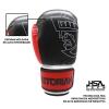 Kit Luva de Boxe/Muay Thay 16 OZ Pretorian