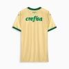 Camisa Puma Palmeiras III Oficial 24/25