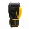 Kit Luva de Boxe/Muay Thay 12 OZ Pretorian