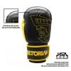 Kit Luva de Boxe/Muay Thay 12 OZ Pretorian