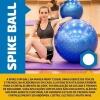 Bola Ginastica 65cm com Cravos MBFIT