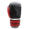 Kit Luva de Boxe/Muay Thay 16 OZ Pretorian