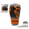 Kit Luva de Boxe/Muay Thay 12 OZ Pretorian