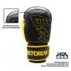 Kit Luva de Boxe/Muay Thay 14 OZ Pretorian