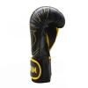 Kit Luva de Boxe/Muay Thay 14 OZ Pretorian