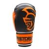 Kit Luva de Boxe/Muay Thay 12 OZ Pretorian